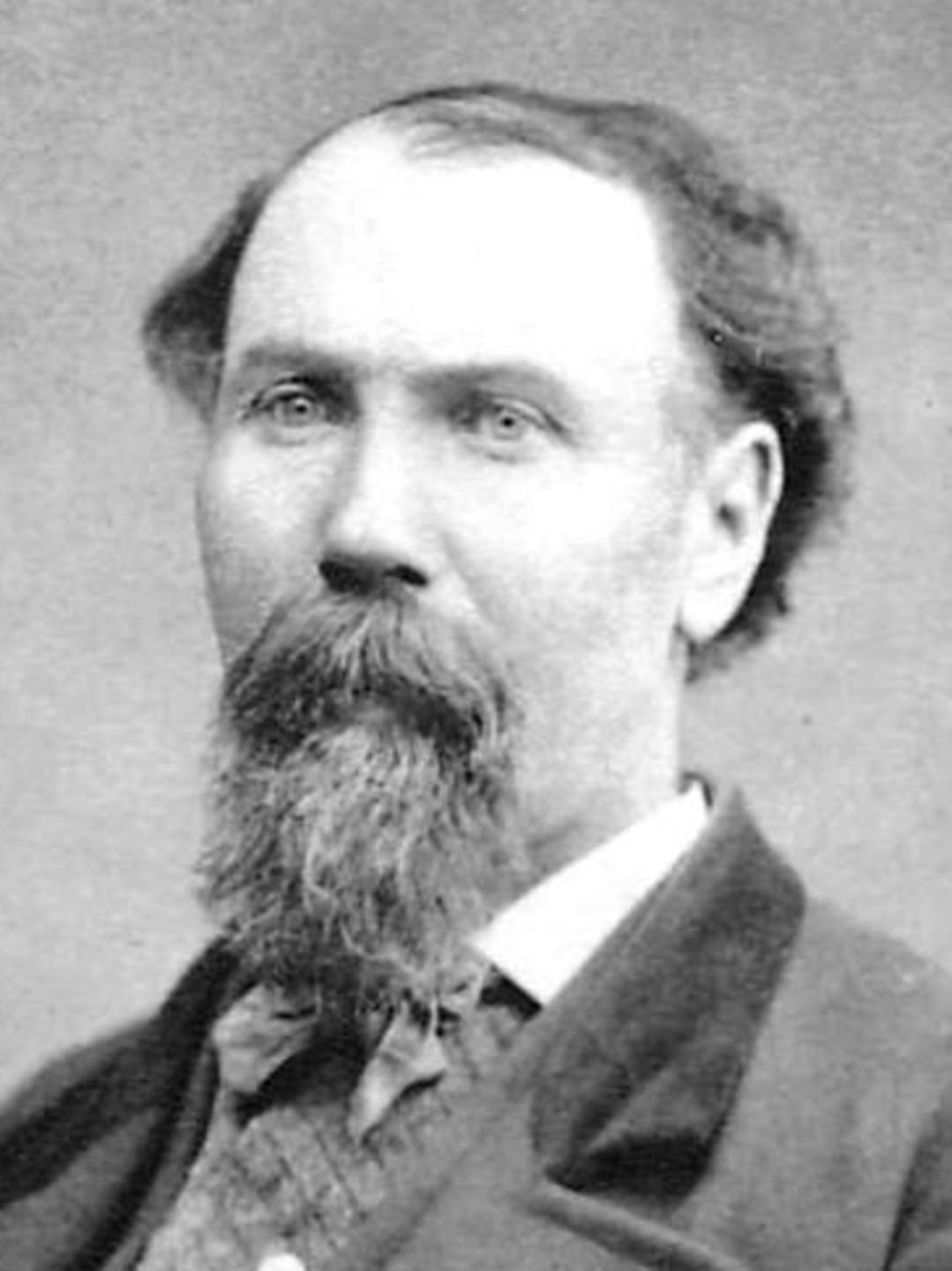 David Milne (1832 - 1895) Profile